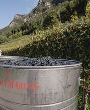 Marugg Thomas jun. und Edith Bild 4