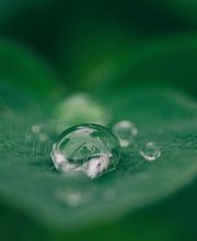 Alicia Navarro Psicóloga imagen 13