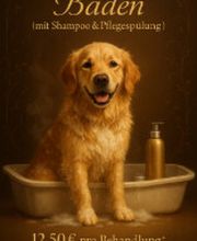 Screenshot 2025-10-23 172634.png