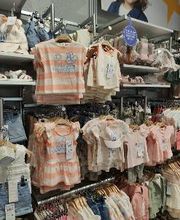 Orchestra VIRE image 17