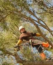 Vert Cleres image 11