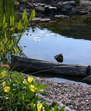 Gartengestaltung Förster Bild 3