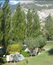 Camping le Verger image 4