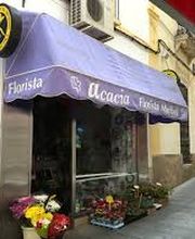 Acacia_Floristeria_Merida_tienda.jpg