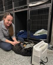 Westerville Veterinary Clinic image 4