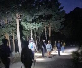 233117787-1-FCoZoJRyVH1705418253484.jpeg