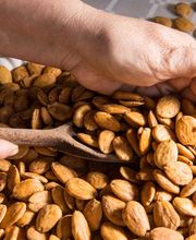 Gallery Professionale