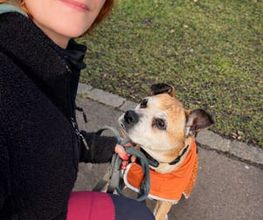 Pet-Relax Bild 2
