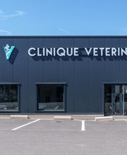 Clinique Vétérinaire de Chanzy image 7