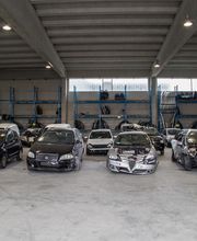 Gallery Professionale