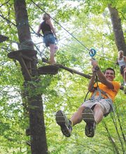 L' Appel de la Forêt image 4