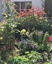 Paarberatung und Coaching - Beratung im Garten Bild 2