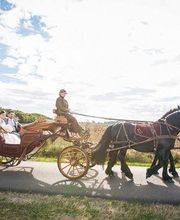 Le Haras De Muralis image 17
