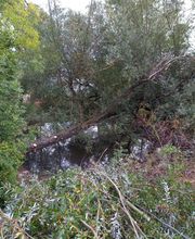 Guerro Elagage image 5