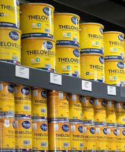 Théodore Maison de Peinture image 2