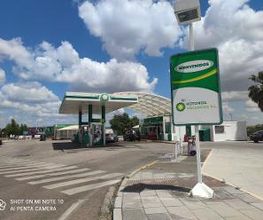 bp imagen 1