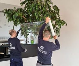 Martinas GmbH Bild 1