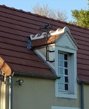 Dagois Joël image 4