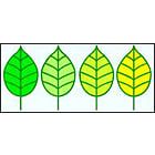 Leonelli & Fils logo