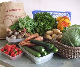 Du Potager Fleuri GAEC image 15