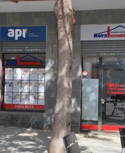 NovaImmobiliaria imagen 2