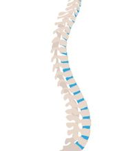 Bertagnoli Rudolf Dr. med. Bild 1