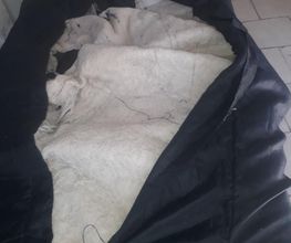 Equi'lavage image 17