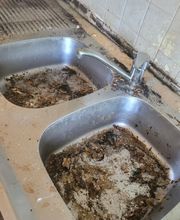 Sos Antinuisibles 54 image 8