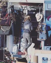 Cavallu'Jump image 6