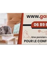 gardechat.fr image 2