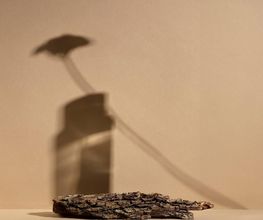 Studio 8 image 13
