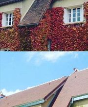 Mecquesse Couverture image 2