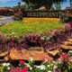 Holly Point Apartments