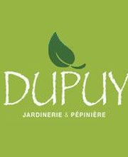 Dupuy image 2