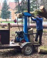 Des Racines à la Cime image 3