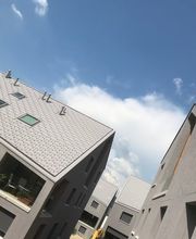 Wohlgemuth Dach AG Bild 5