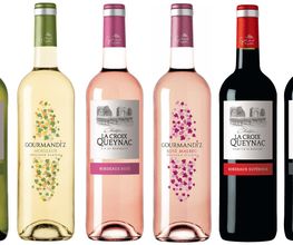 Vignobles Gabard image 11