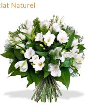 Au Jardin D'eden image 18