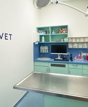 Medivet Tierarztpraxis Bild 4