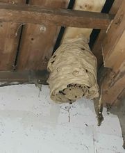 CF Service image 13