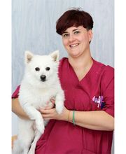 Veterinario Alcorcón imagen 6