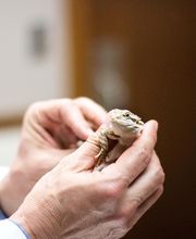 Three Trails Animal Hospital image 14