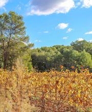 Qualité Vins Services image 18