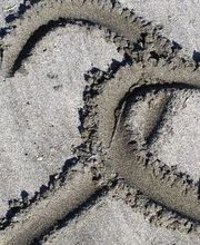 Albora-Bide Sexología imagen 7