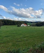 La Trottelée image 1