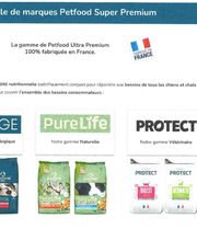 Antonio Rita Educateur et Comportementaliste canin image 4