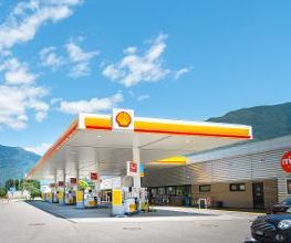 Shell Bild 1