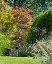 Besl Bischoff Gartenbau und Gartenpflege AG Bild 5