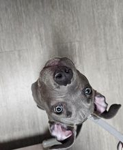 Westerville Veterinary Clinic image 20