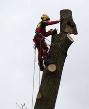 Der Gartenpionier Bild 4